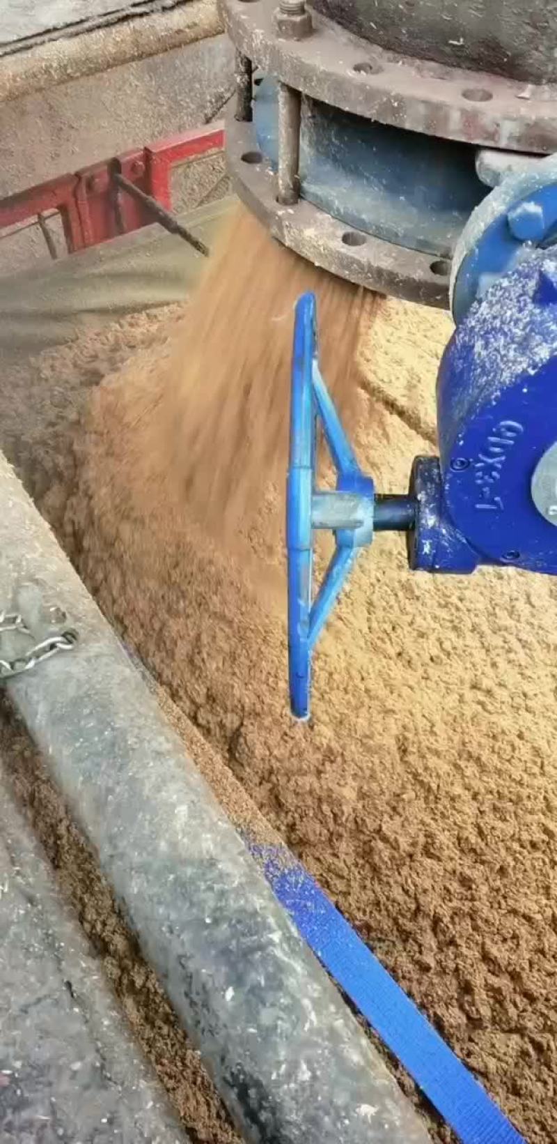 啤酒糟
