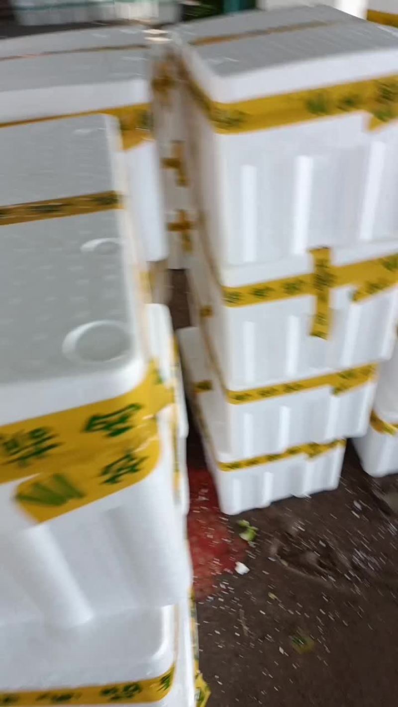 西葫芦