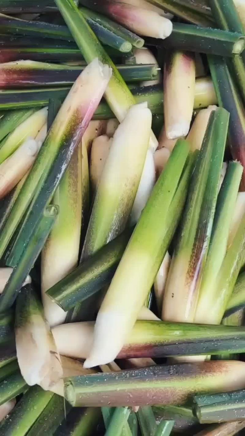 茭白