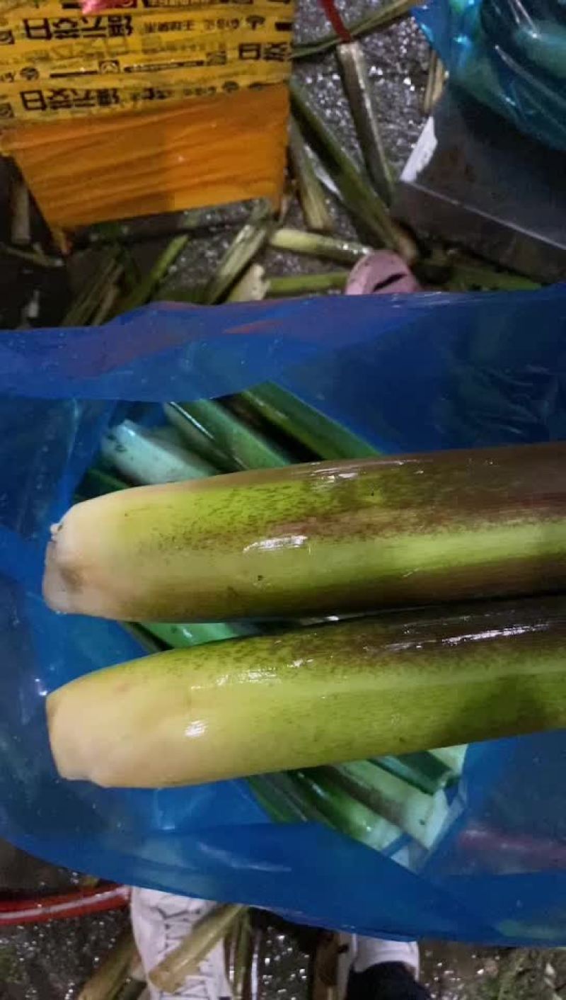 茭白