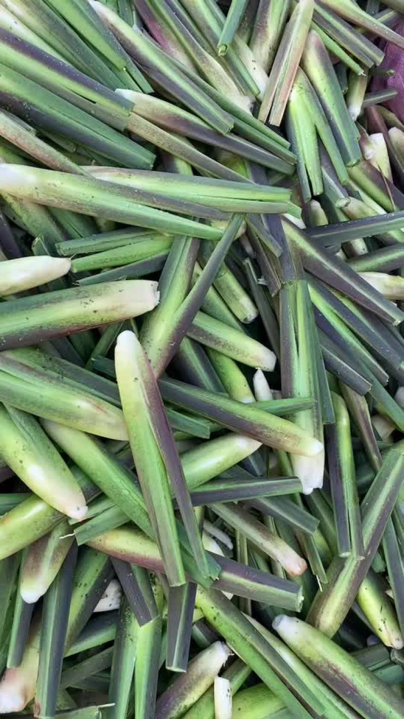茭白