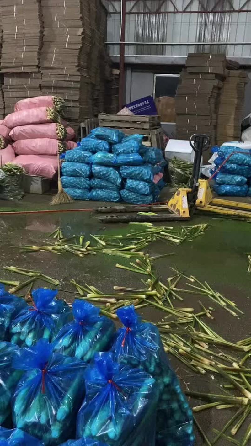 茭白