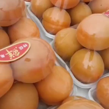 金太阳