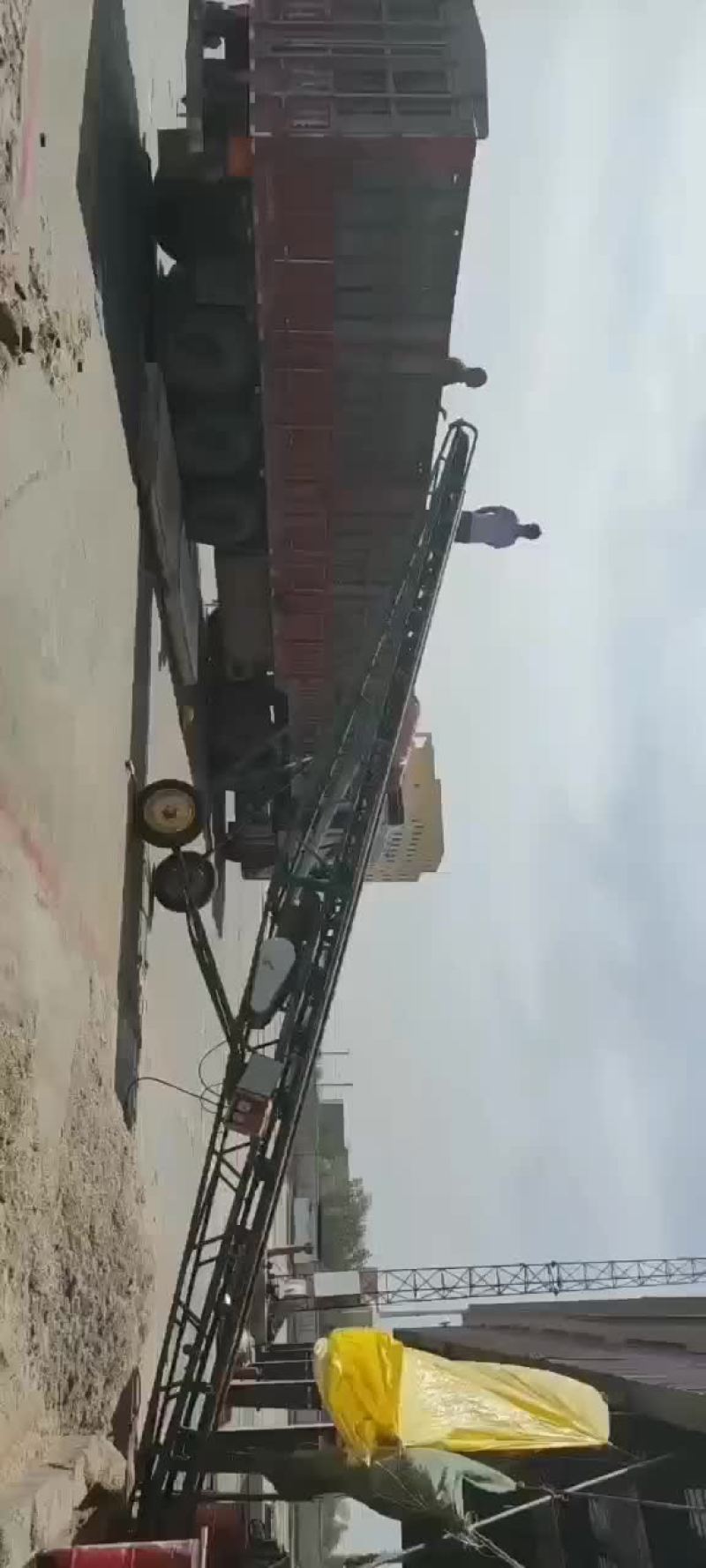 新疆优质棉籽壳