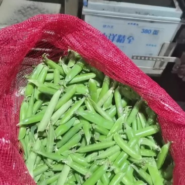 豌豆
