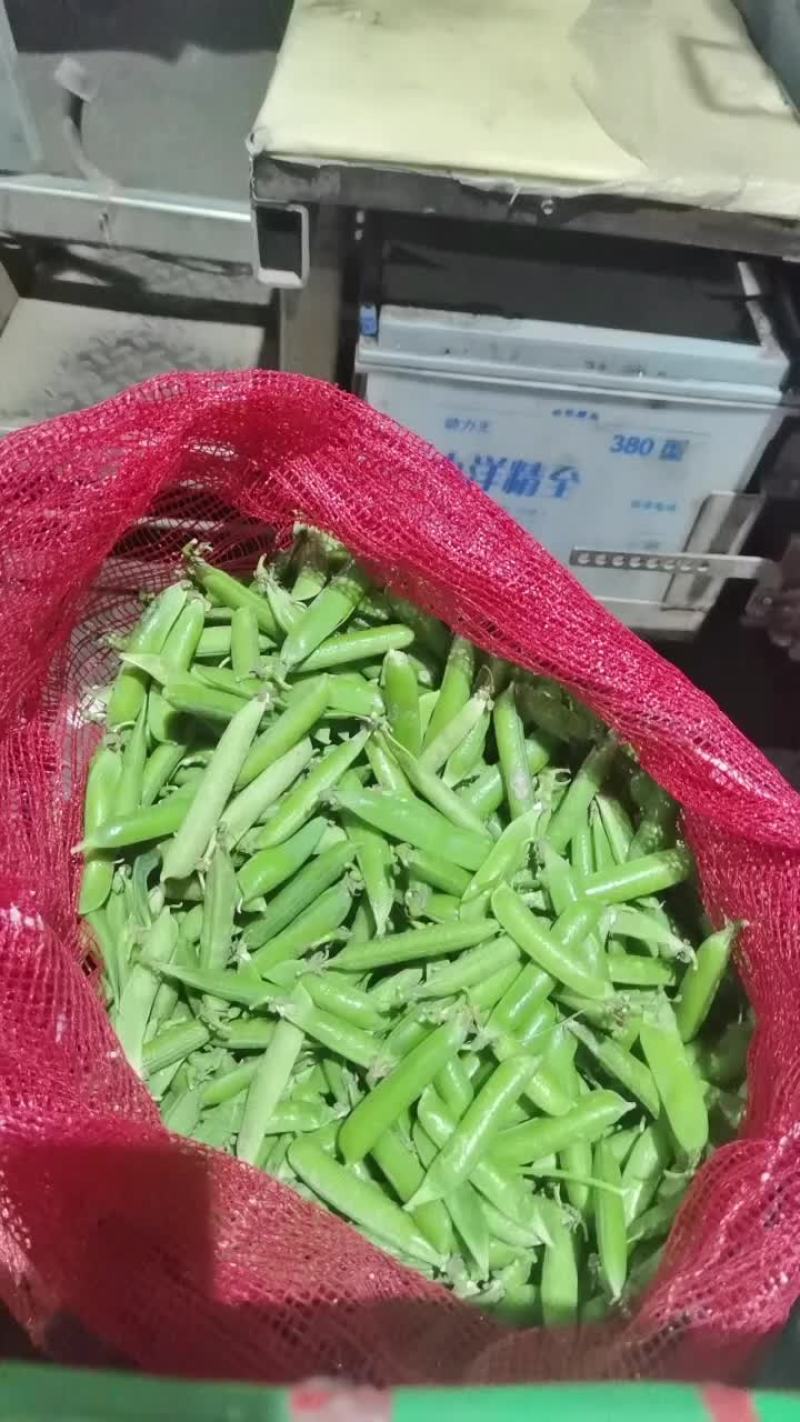 豌豆