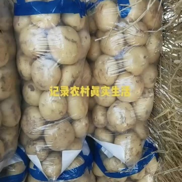 土豆