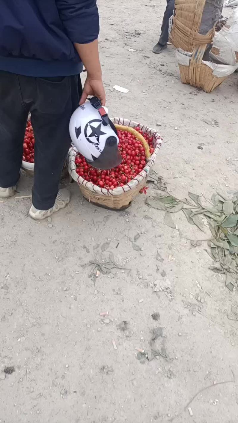 天水大樱桃上市啦