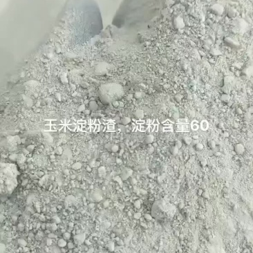 饲料玉米淀粉渣