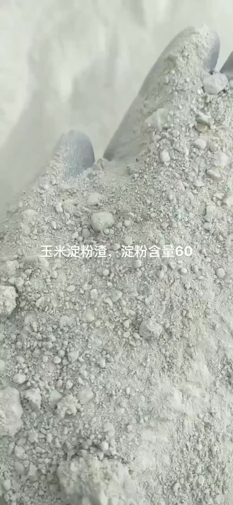 饲料玉米淀粉渣