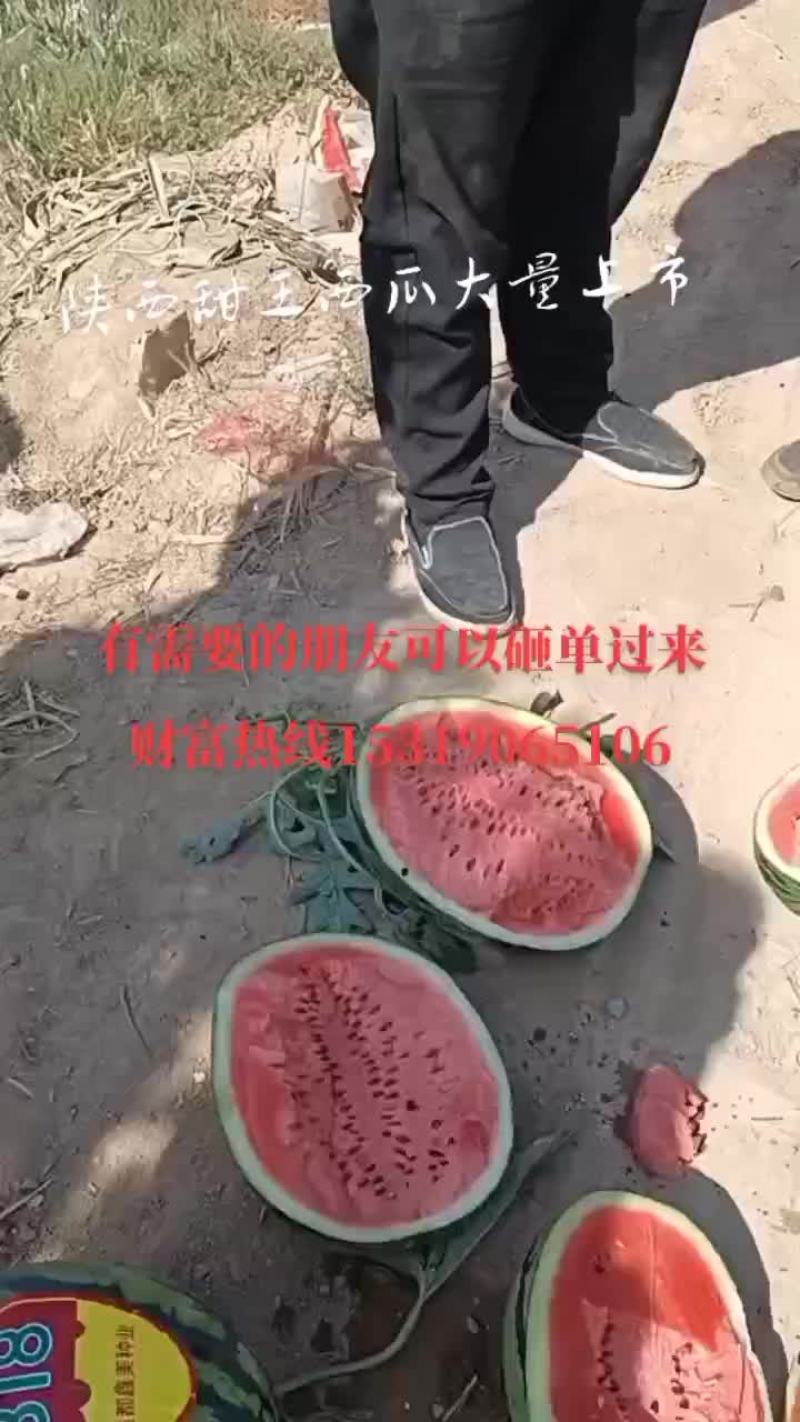 陕西甜王西瓜