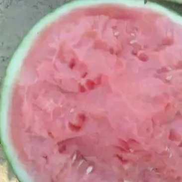 甜西瓜