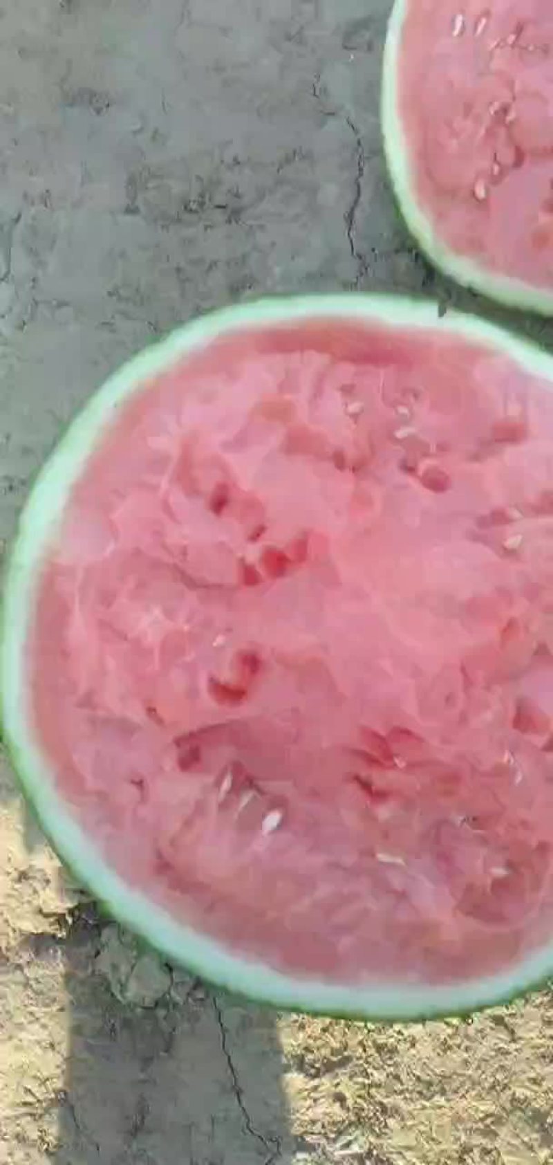 甜西瓜