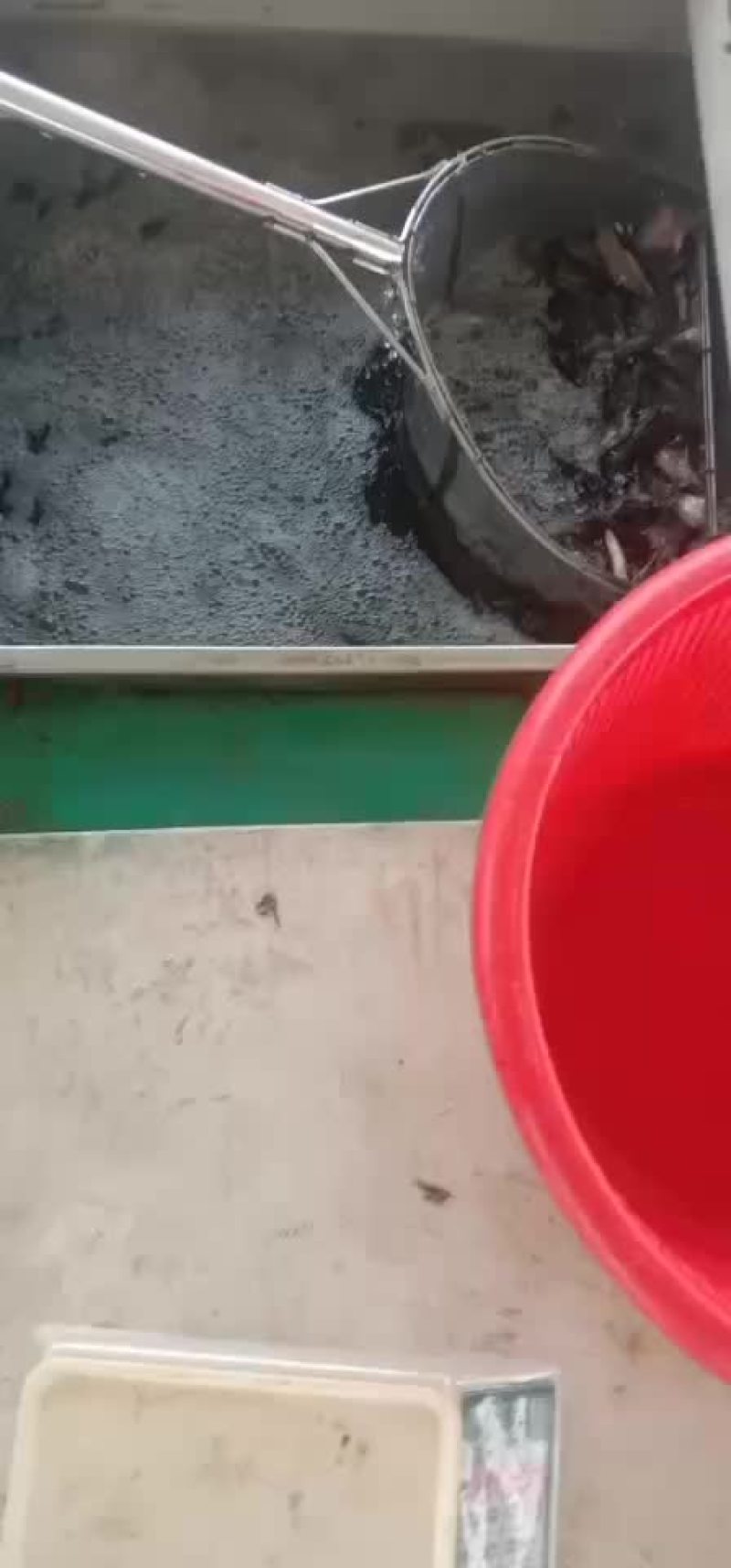 精品桂鱼苗，江苏丰庆特种水产养殖，专车送