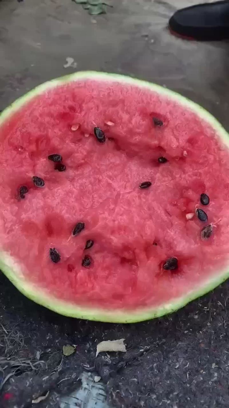 西瓜