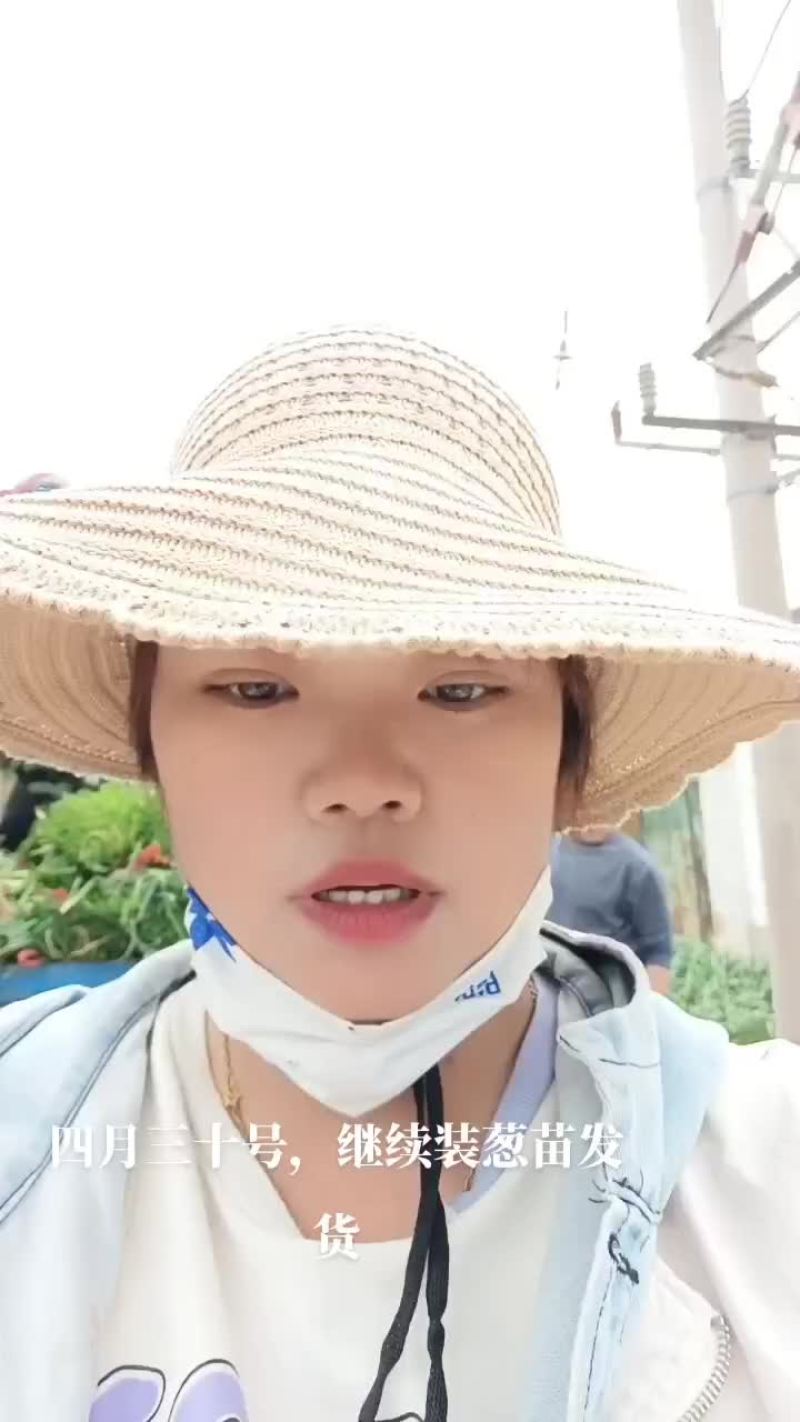 5月24号，继续发货