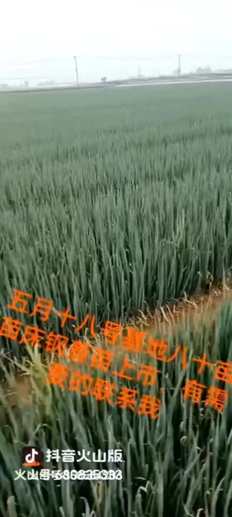 5月24号，继续发货
