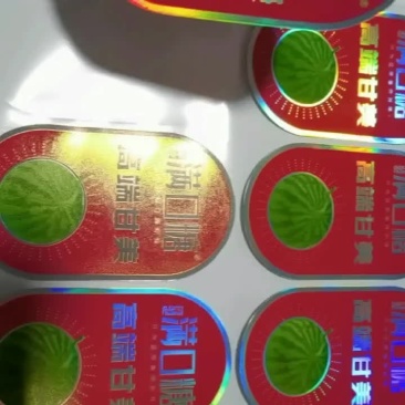 西瓜标签定制版通用版厂家实力