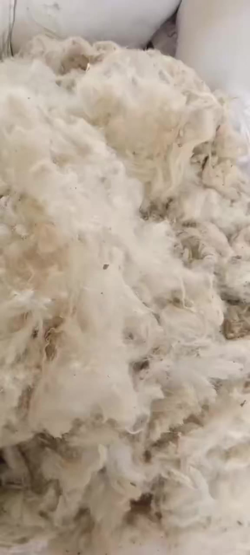 绵羊毛，山羊毛，山羊绒