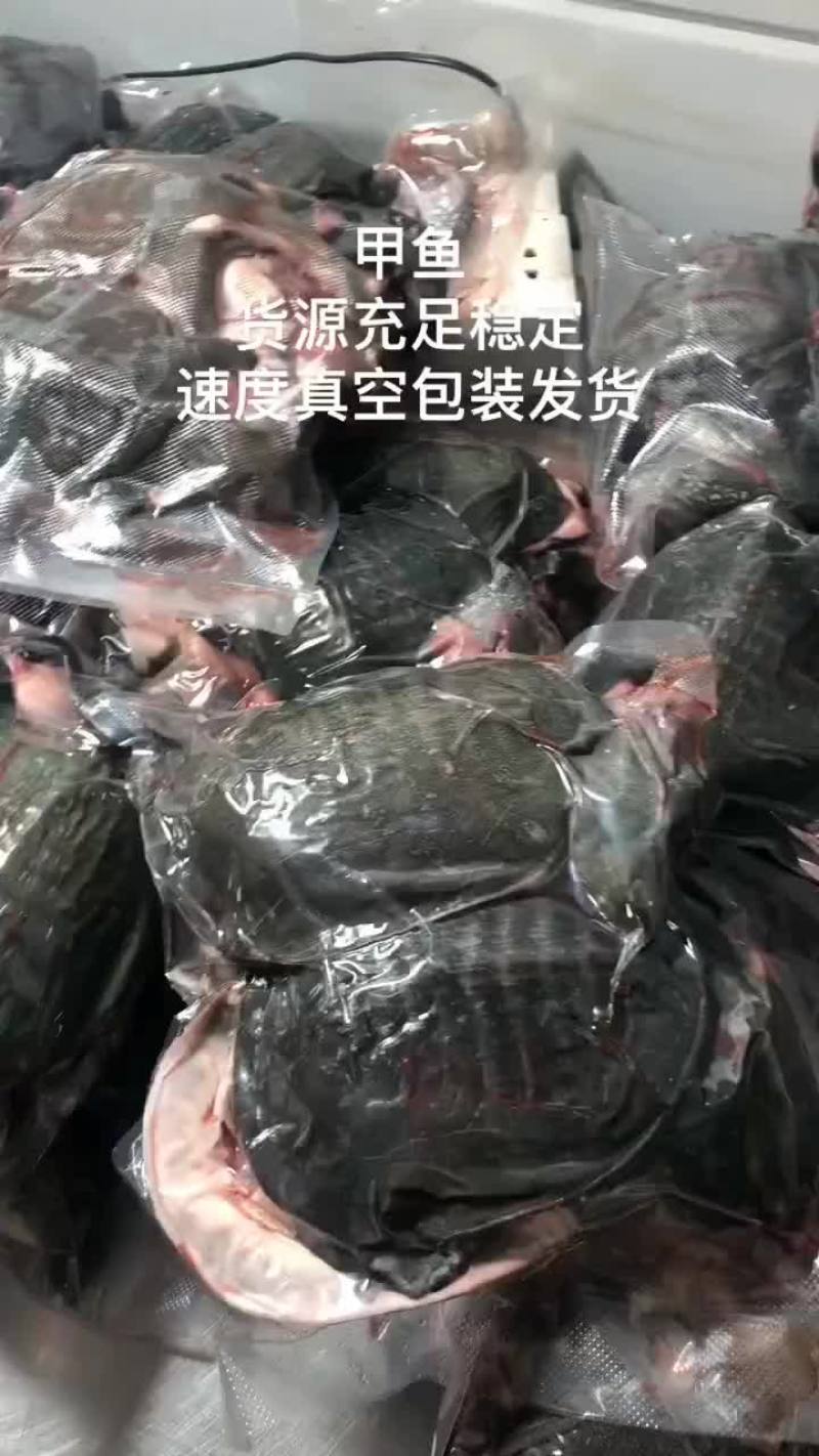 网红麻辣甲鱼批发一首货源，卤甲鱼规格0.5到一斤