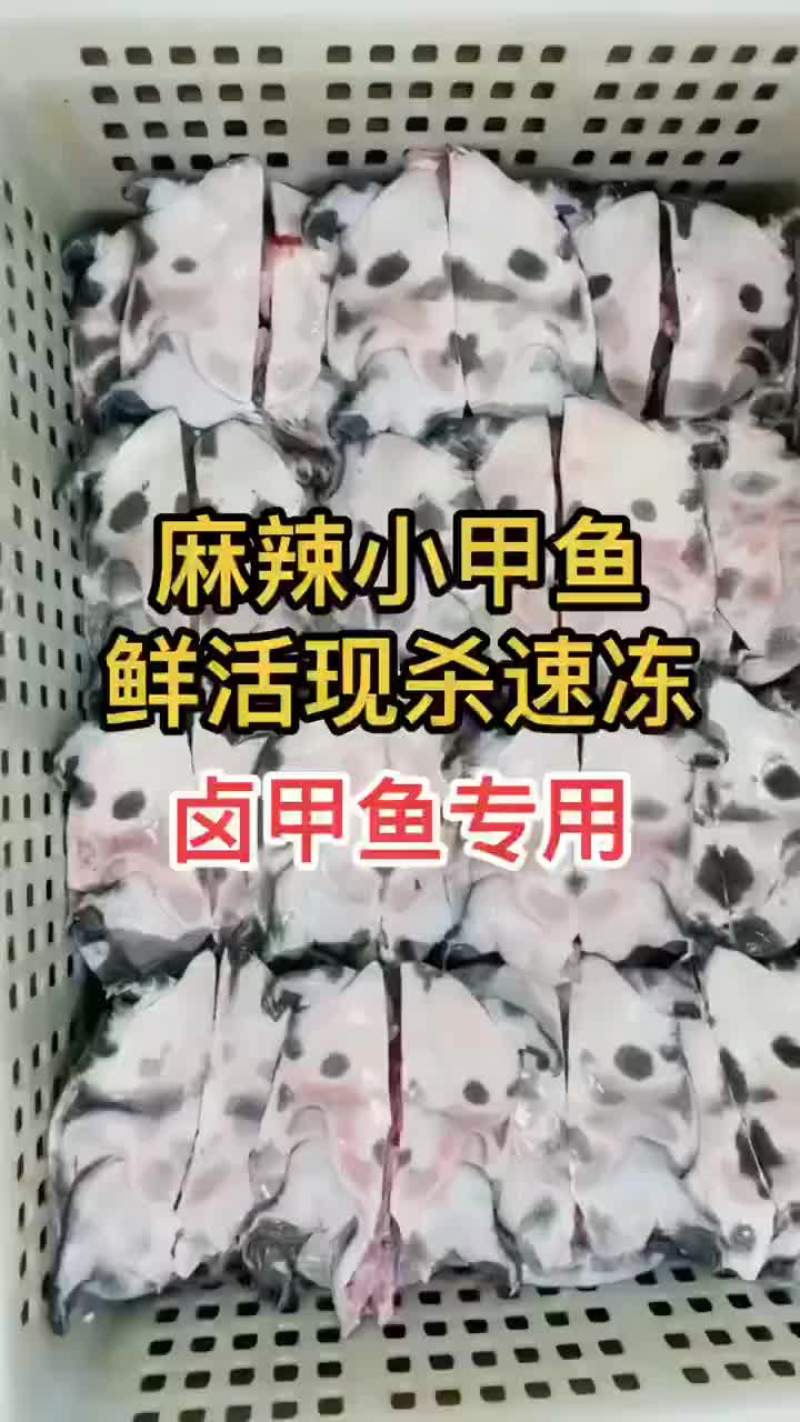 网红麻辣甲鱼批发一首货源，卤甲鱼规格0.5到一斤