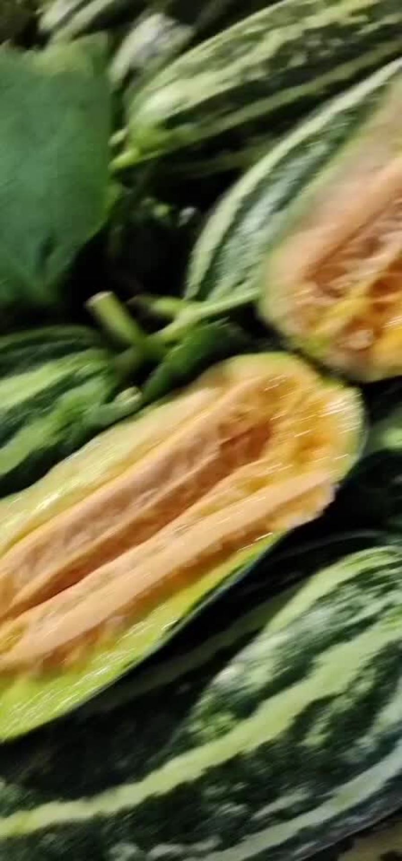 山东费县吊秧头茬博洋九，大红瓤薄皮脆甜