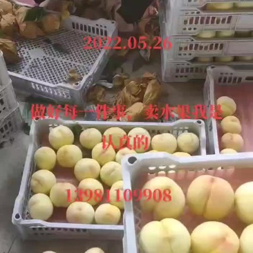 精品桃子，白果