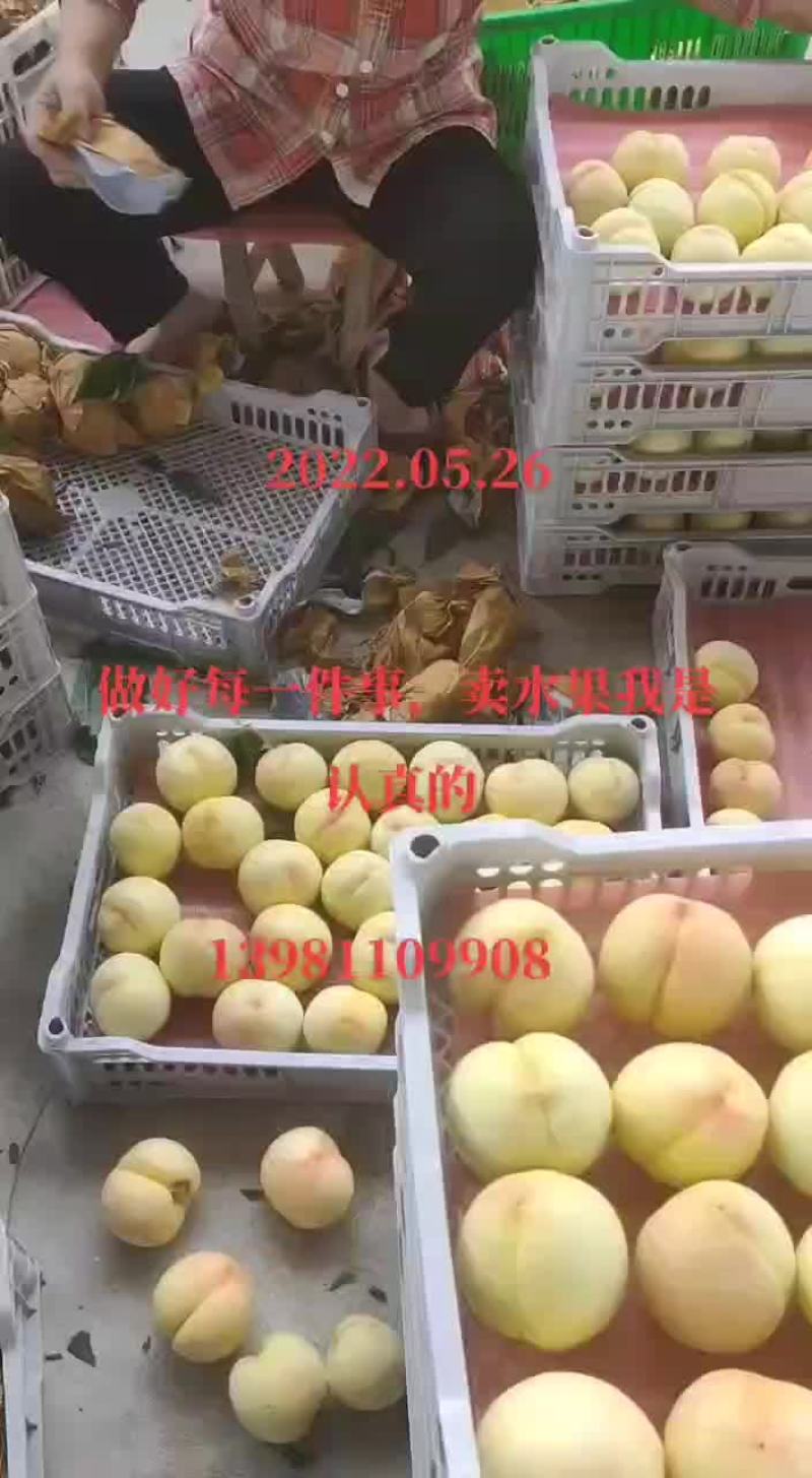 精品桃子，白果