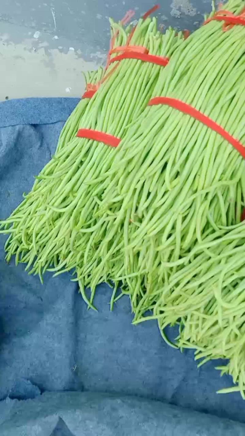 豆角