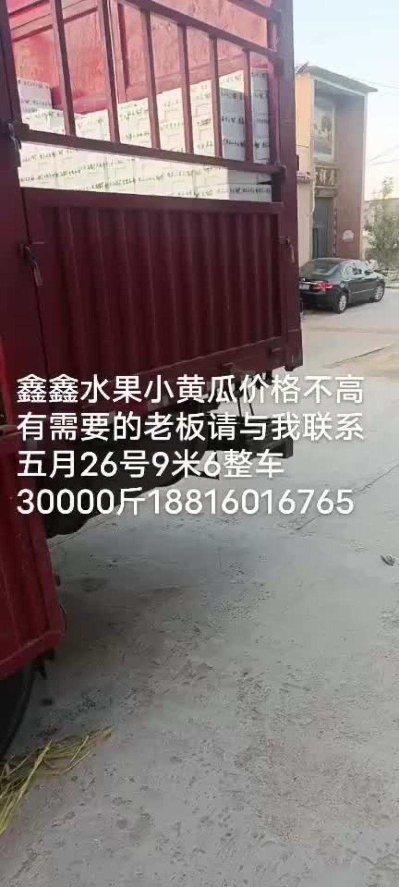 水果小黄瓜