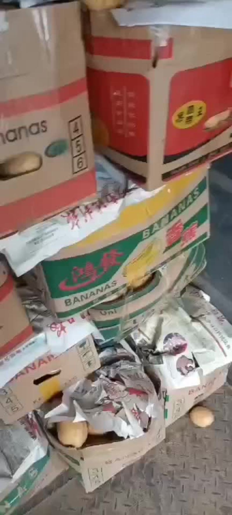 荷兰系列
