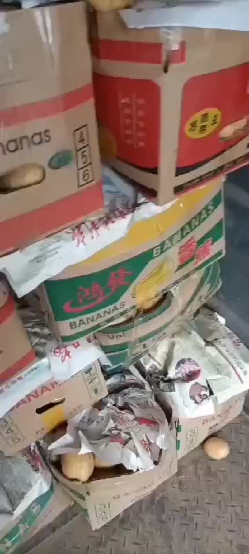 荷兰系列