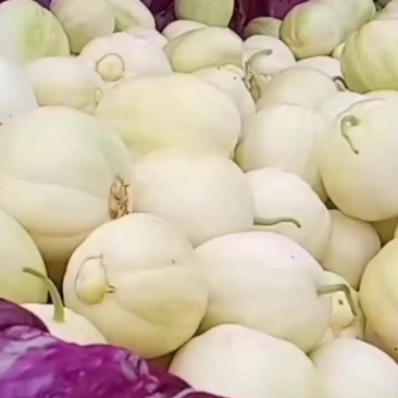 大庆香瓜，想要的来