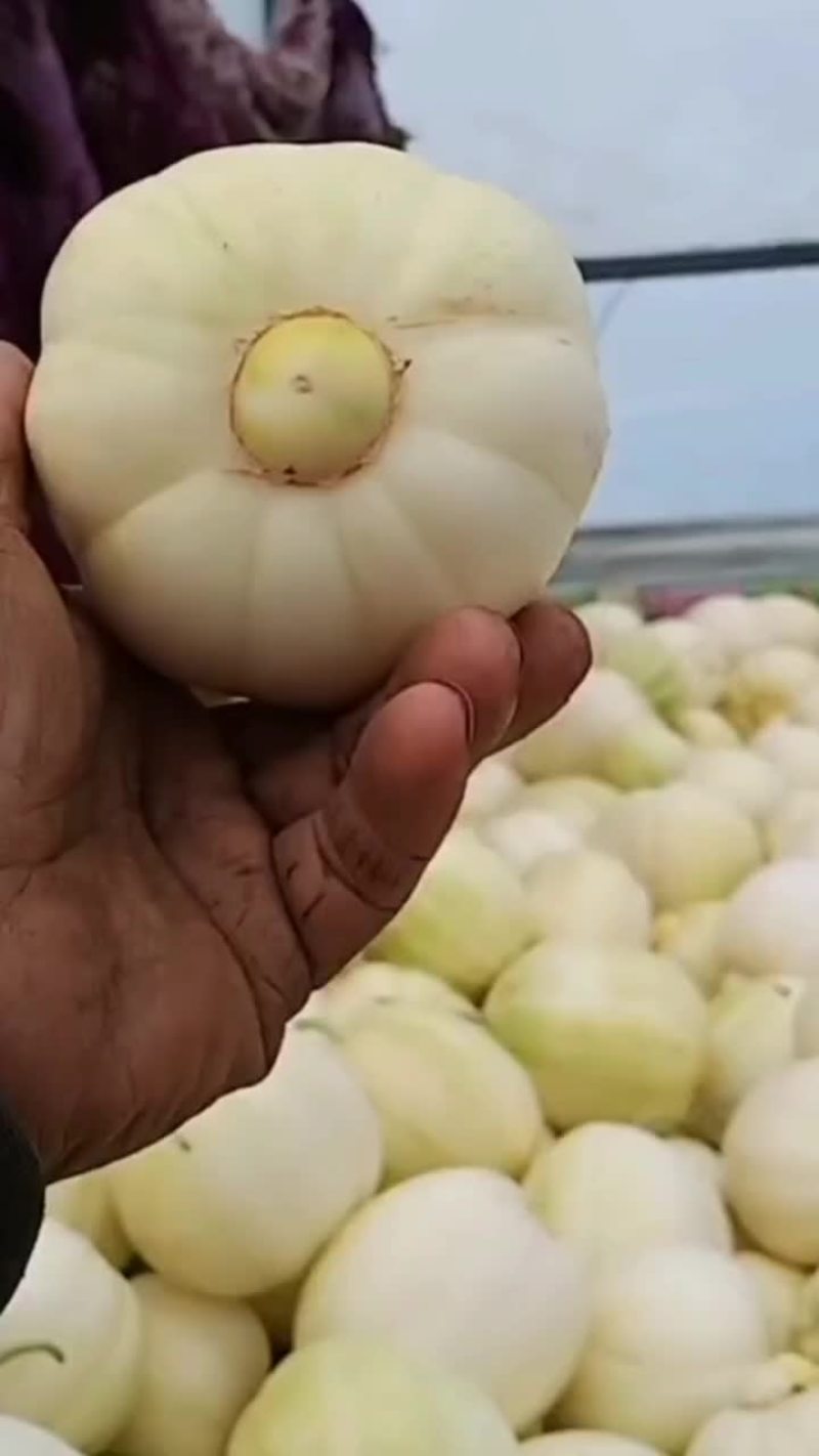 大庆香瓜，想要的来