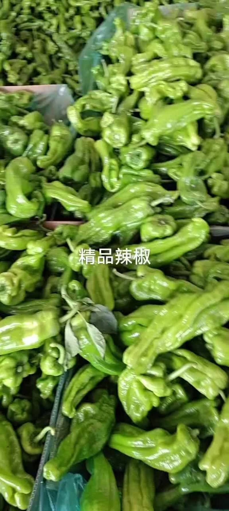 精品辣椒