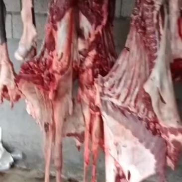 带皮驴肉