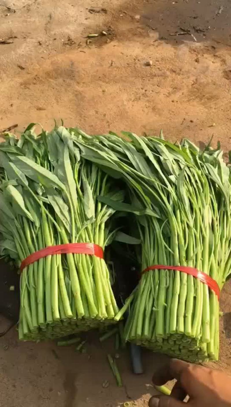 特价空心菜