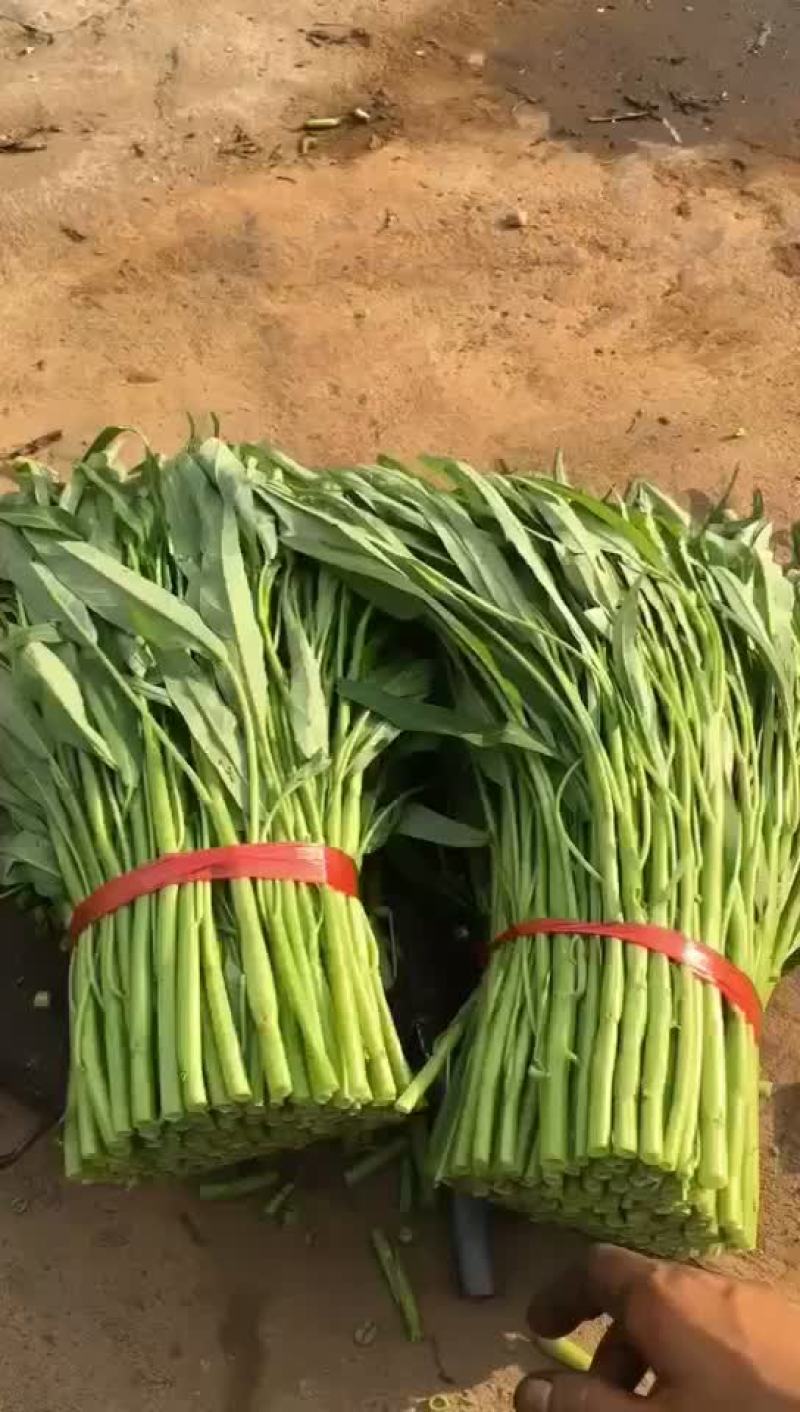 特价空心菜