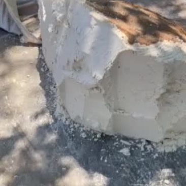 豆奶渣，熟的
