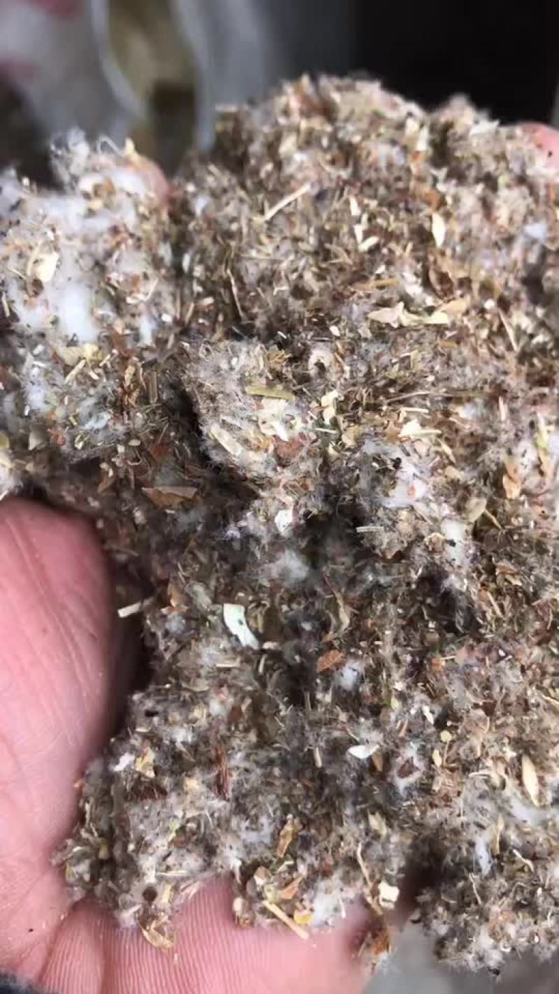 长期供应优质棉渣，全国发货中