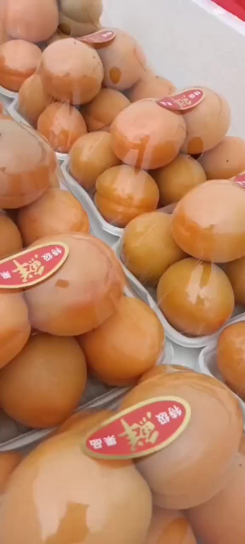 金太阳杏