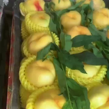 蟠桃