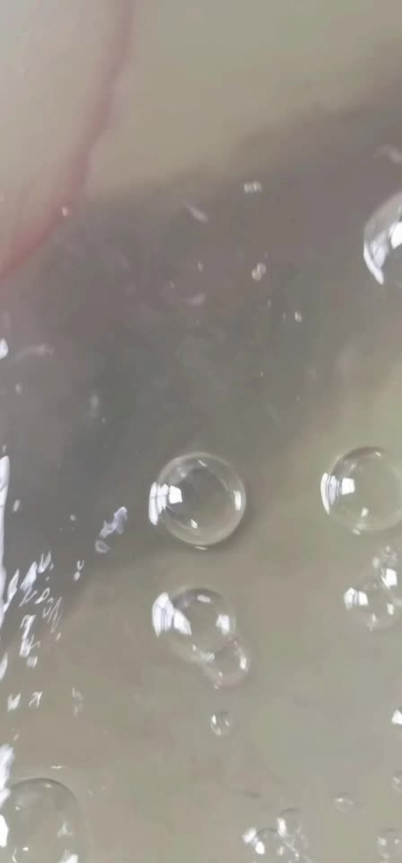 斑点叉尾鮰水花