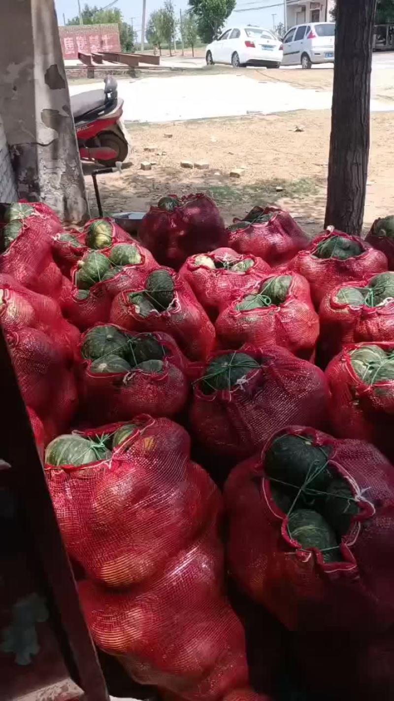 板栗南瓜大量上市需要的老板前来选购