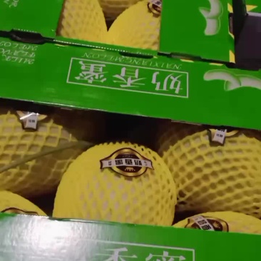 玉菇甜瓜