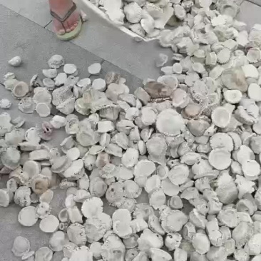 梅花鹿鹿角帽
