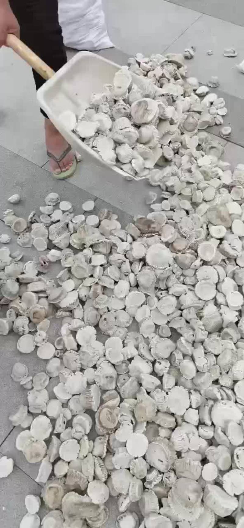 梅花鹿鹿角帽