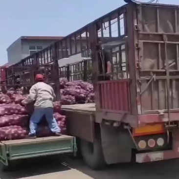 大量上市