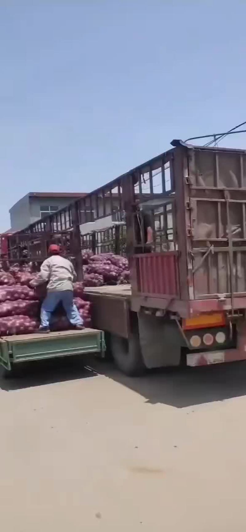 大量上市