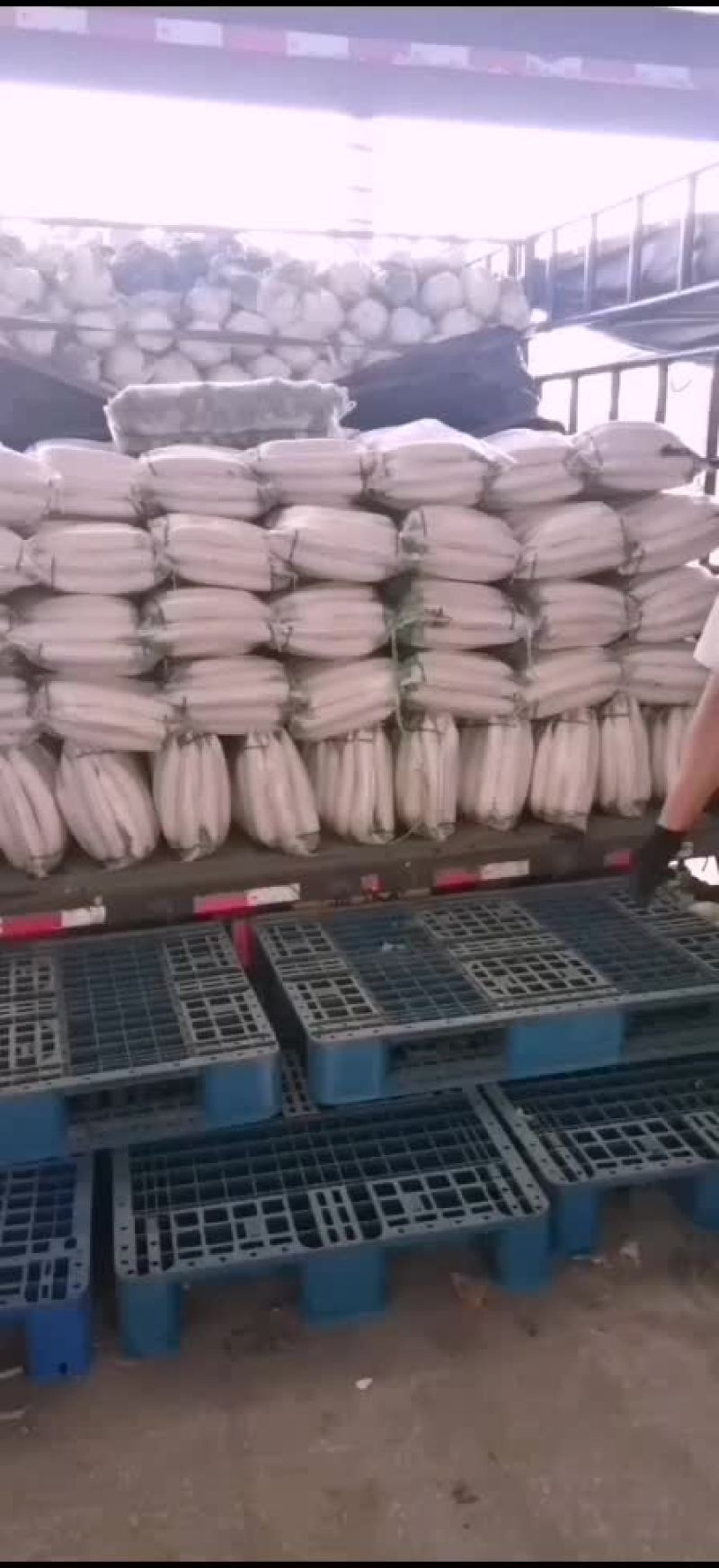 大量上市，货源充足，代发全国